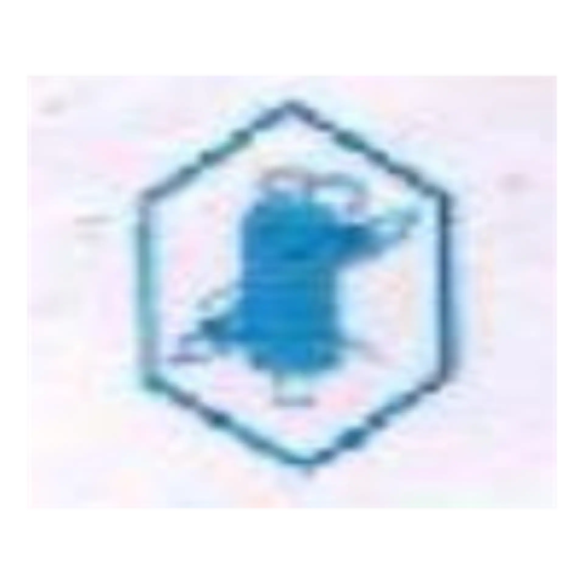 Item 16